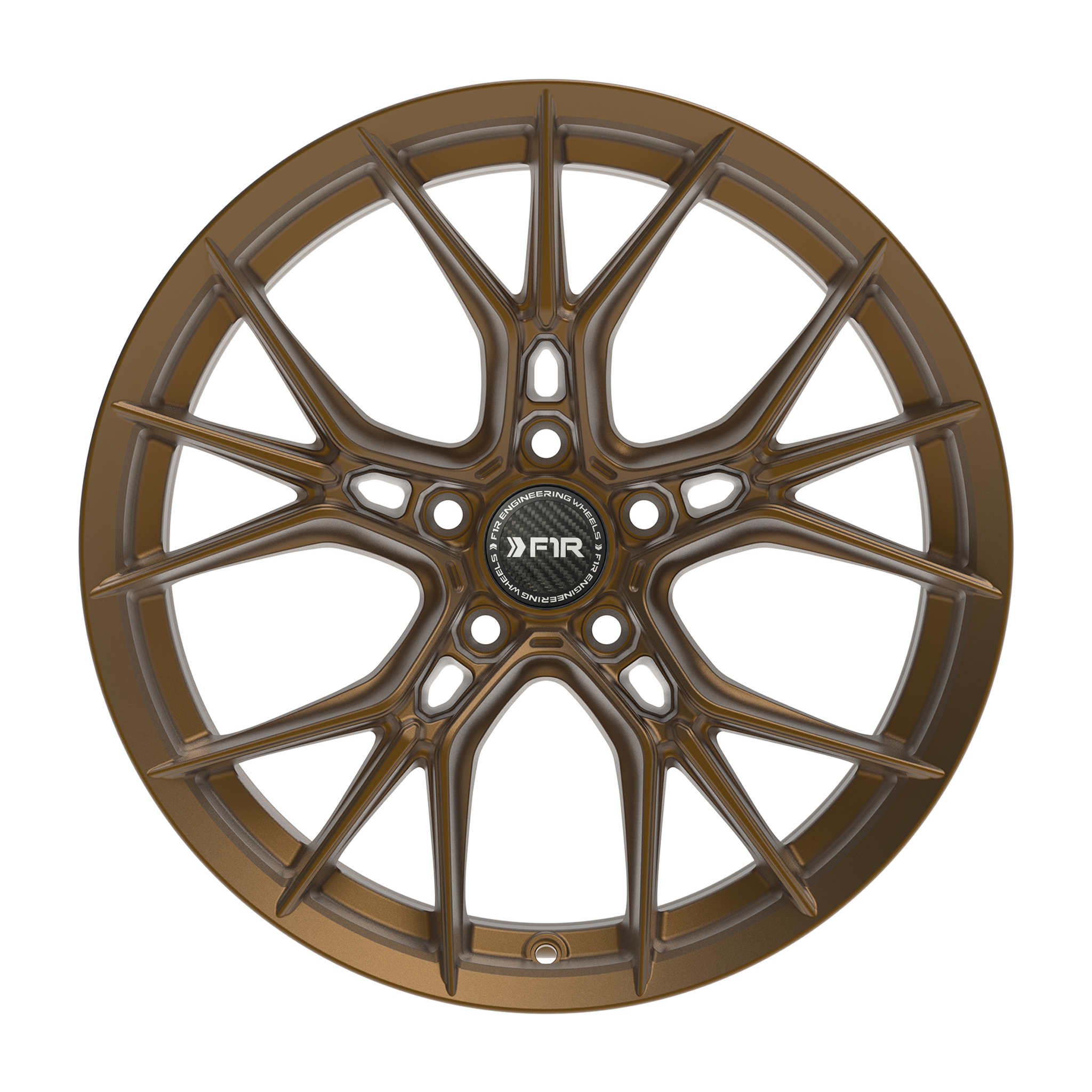 F1R FS1